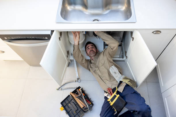 Best Clogged Drain Plumber  in Sandwich, IL